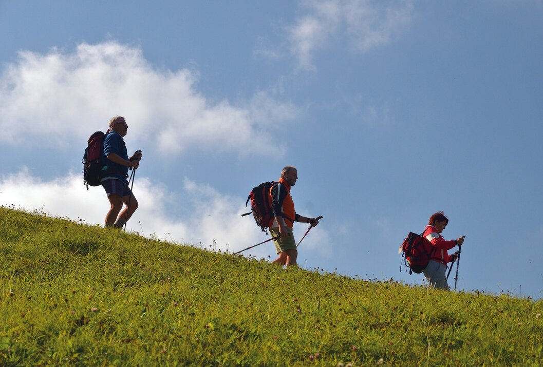 Wanderer mit Rucksäcken und Stöcken steigen einen grünen Hügel hinauf unter blauem Himmel