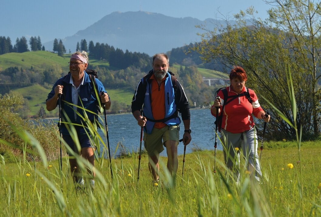 Drei Wanderer mit Stöcken in grüner Landschaft vor einem See und Bergen
