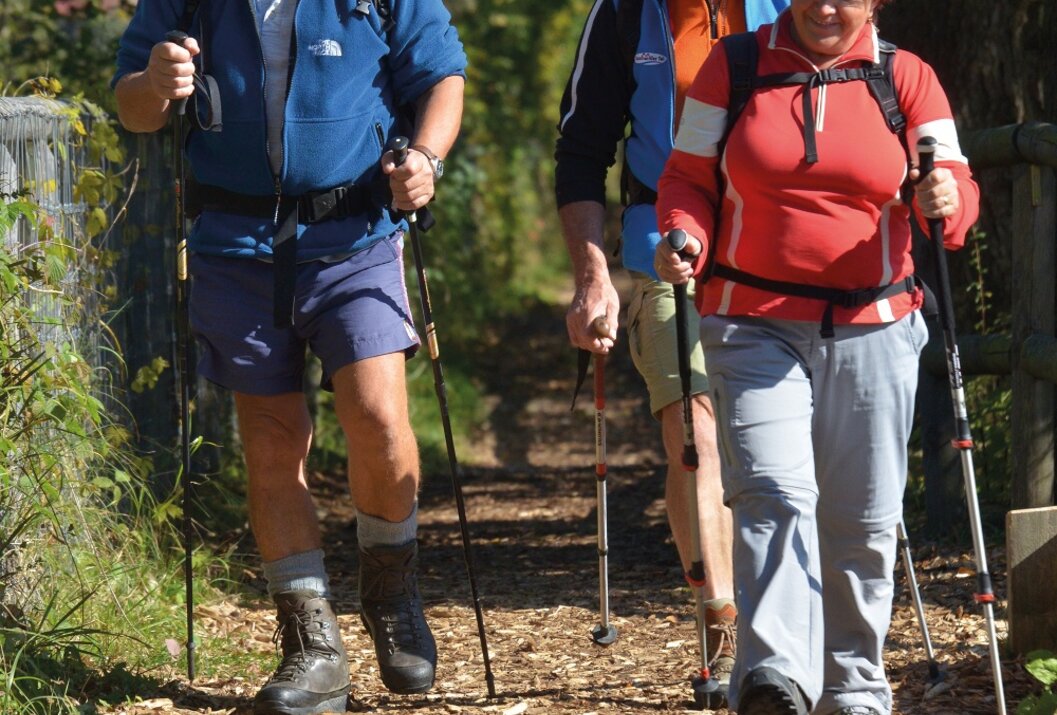 Drei Wanderer mit Stöcken auf einem Waldweg