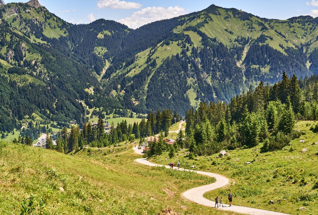 Serpentinenweg führt durch grüne Landschaft mit Bergen im Hintergrund