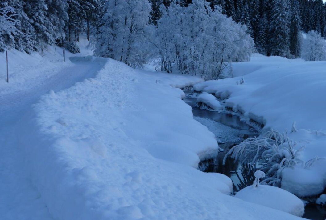 Verschneite Landschaft mit Bachlauf und Bäumen unter einer dicken Schneedecke