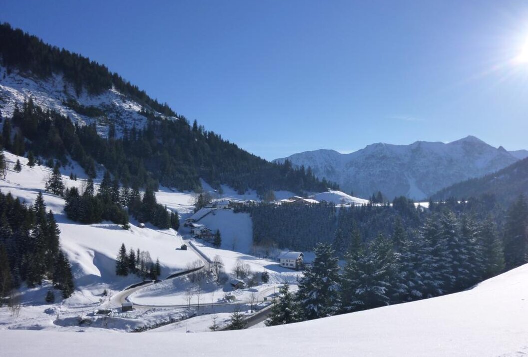 Verschneite Berglandschaft mit Bäumen und blauem Himmel