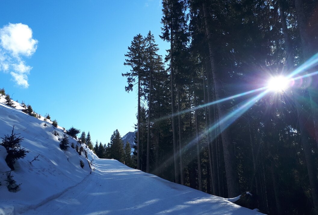 Winterlandschaft mit Schnee, Bäumen und strahlender Sonne