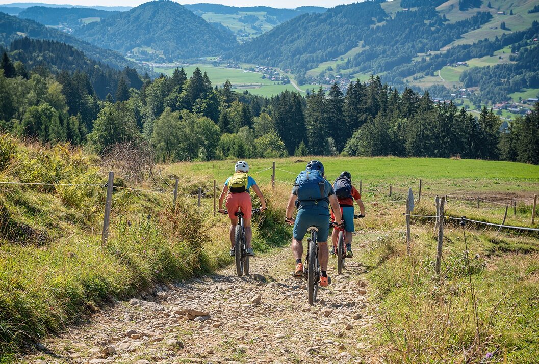Drei Radfahrer auf Schotterweg vor grüner Landschaft