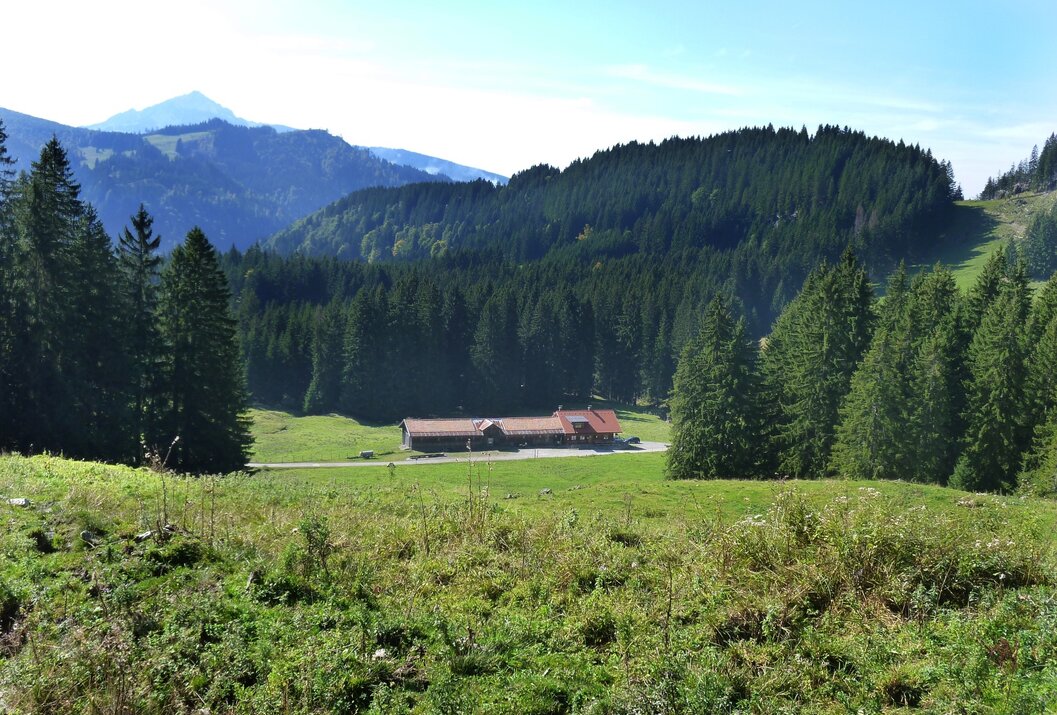 Hütte auf grüner Wiese vor dichtem Wald und Bergen unter blauem Himmel