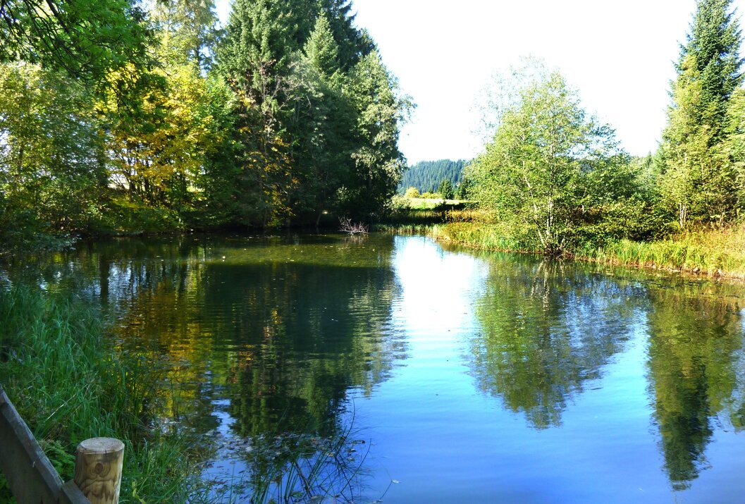 Ruhiger Flusslauf mit Spiegelungen von Bäumen und blauem Himmel im Wasser