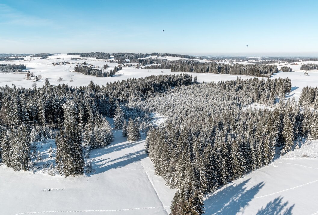 Winterlandschaft mit schneebedeckten Bäumen und Feldern unter blauem Himmel