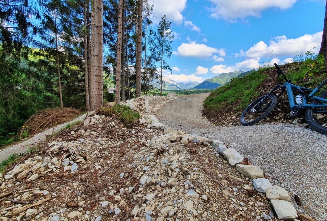 Waldweg mit Steinen, im Hintergrund Berge und blauer Himmel