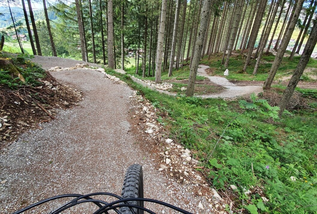 Blick auf Mountainbike-Reifen auf Schotterweg im Wald