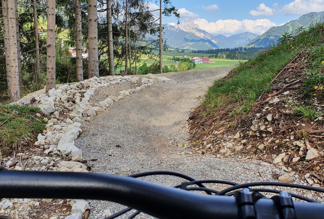 Mountainbike-Fahrt auf Schotterweg durch Wald mit Blick auf grüne Wiesen und Bergpanorama