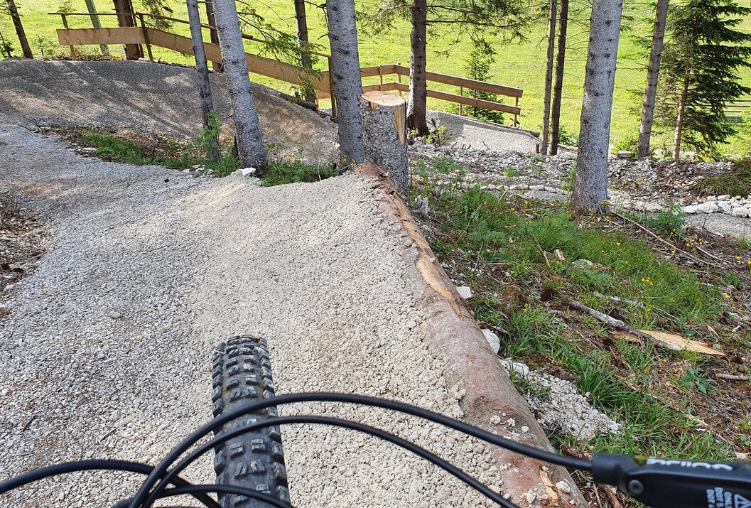 Blick vom Fahrradlenker auf einen sandigen Weg mit Baumstämmen und Bäumen am Wegesrand