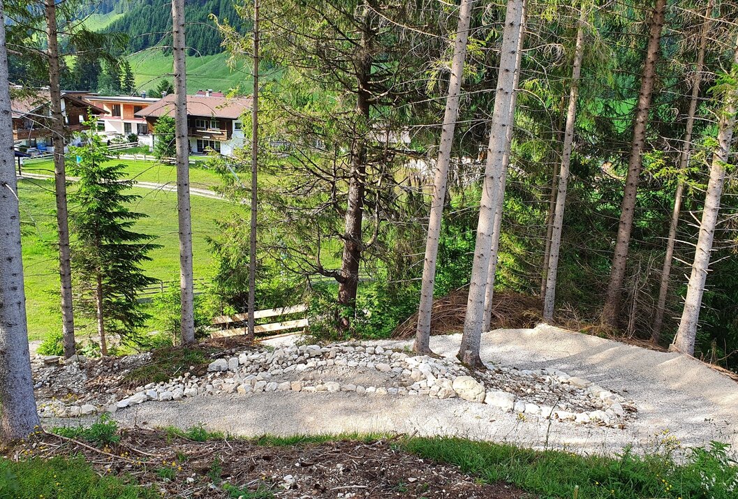 Waldstück mit Baumstämmen, Steinen und einem Haus im Hintergrund