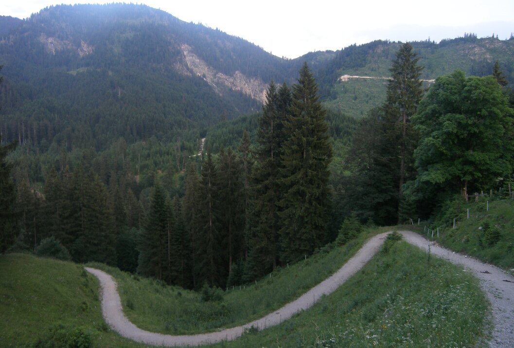 Serpentinenweg führt durch grüne Hügellandschaft mit Bäumen und Bergen im Hintergrund