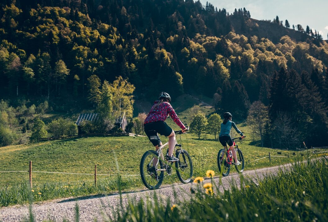 Zwei Mountainbiker fahren auf einem Pfad vor bewaldeten Hügeln