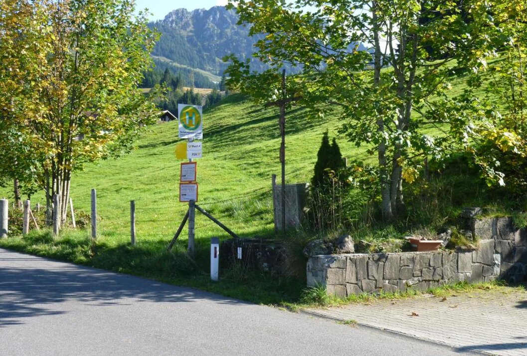 Grüne Wiese mit Bergpanorama, Wegweiser an Straße, Bäume im Vordergrund