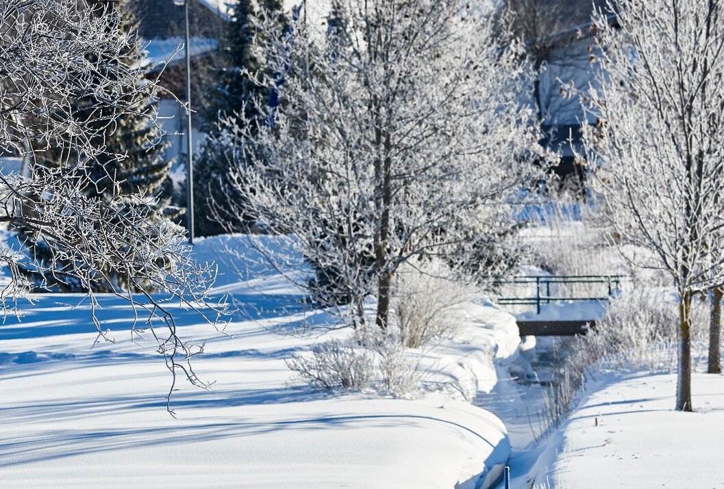 Winterlandschaft mit verschneiten Bäumen, Häusern und zwei Langläufern im Vordergrund