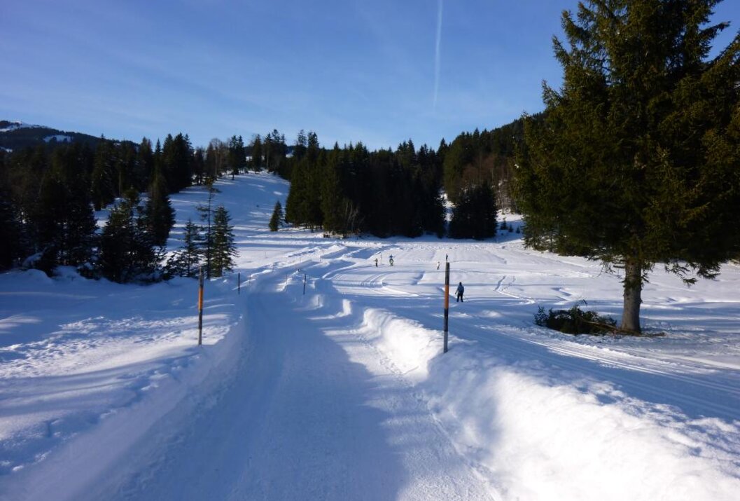 Verschneite Skipiste mit Bäumen und blauem Himmel