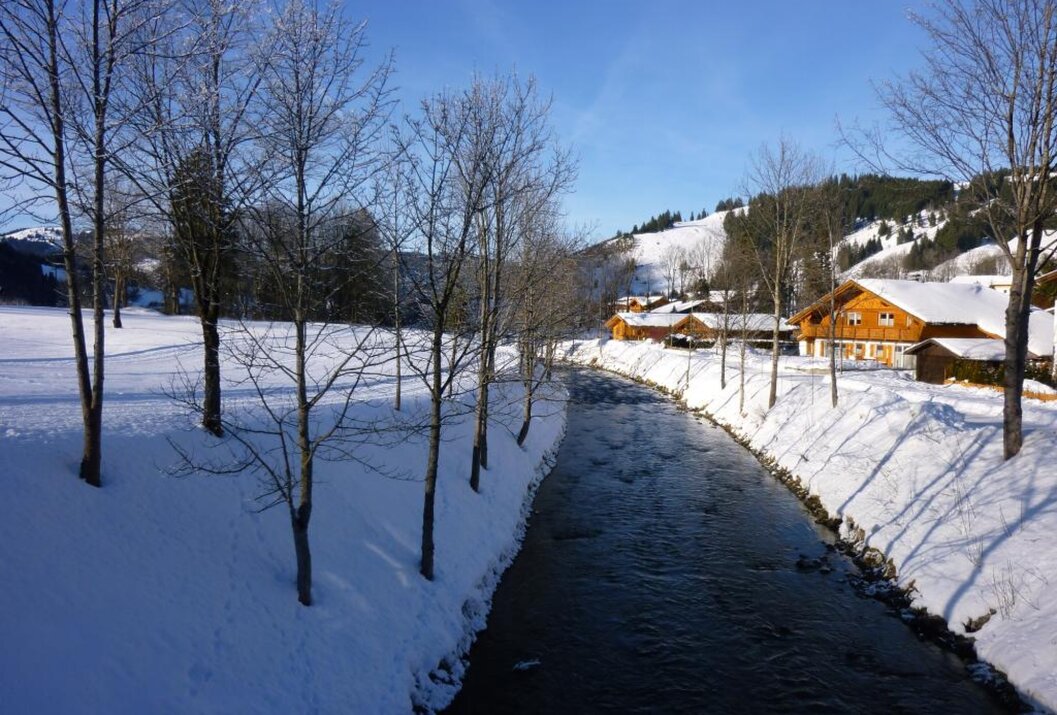 Winterliche Landschaft mit Fluss, schneebedeckten Ufern, Bäumen und Häusern im Hintergrund