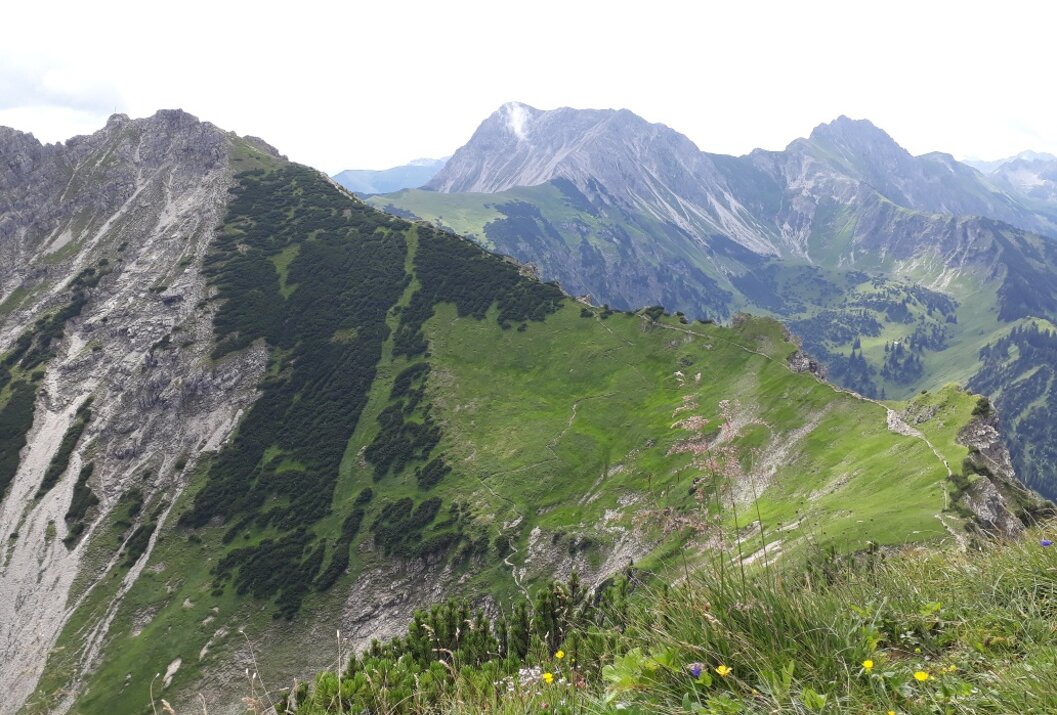 Grüne Berglandschaft mit bewaldeten Hängen und schneebedeckten Gipfeln im Hintergrund