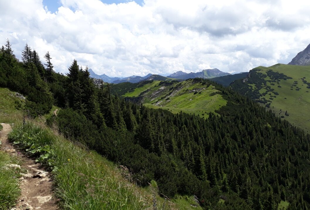 Berglandschaft mit grünen Hängen, Bäumen und bewölktem Himmel