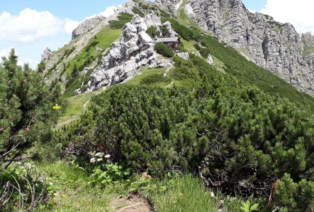 Berglandschaft mit Wanderweg, grüner Vegetation und felsigem Gipfel unter blauem Himmel