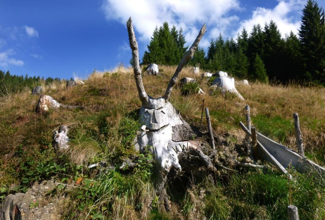 Baumstumpf mit Gesicht und Ästen auf Wiese vor Wald und blauem Himmel