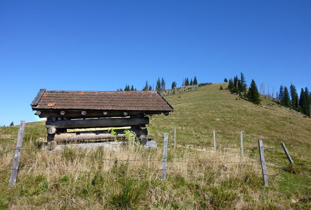 Hütte mit Ziegeldach auf Wiese vor Hügel mit Bäumen unter blauem Himmel