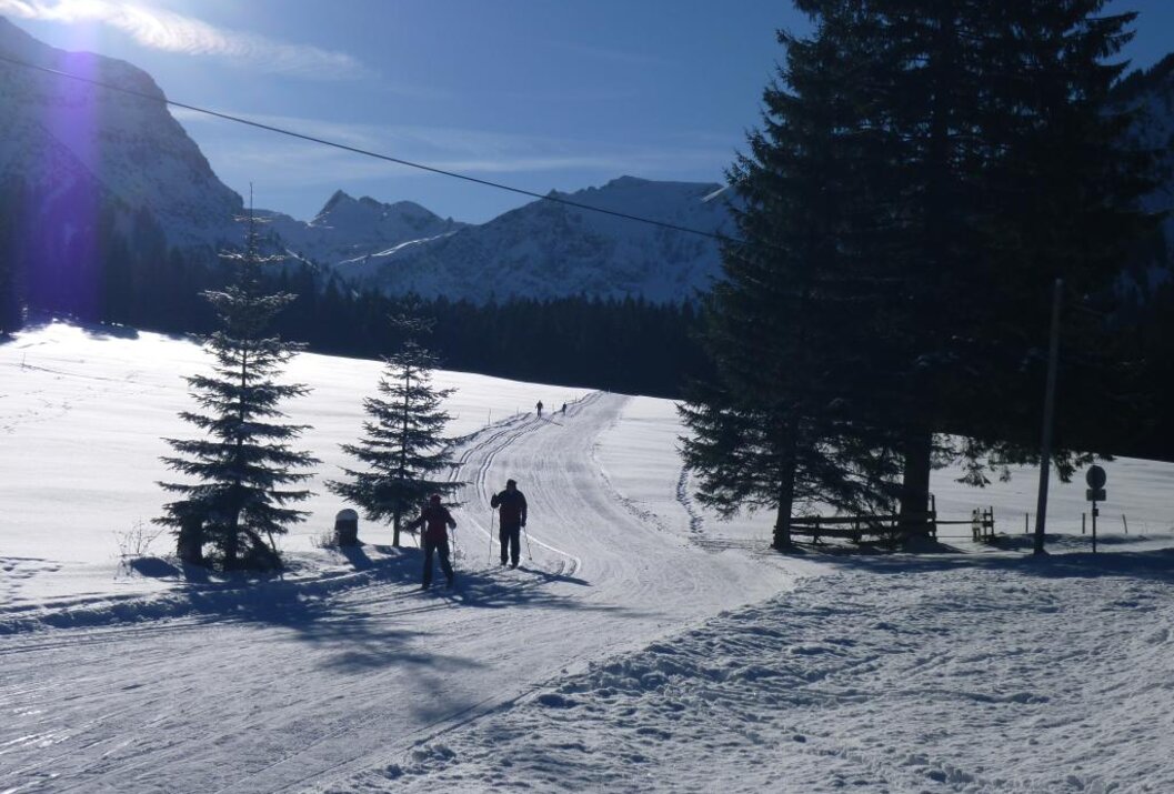 Winterlandschaft mit Langläufern auf Loipe, Bäumen und Bergen im Hintergrund