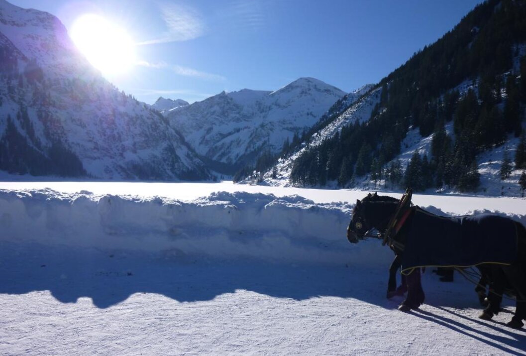 Pferd vor verschneiter Landschaft mit See und Bergen unter blauem Himmel