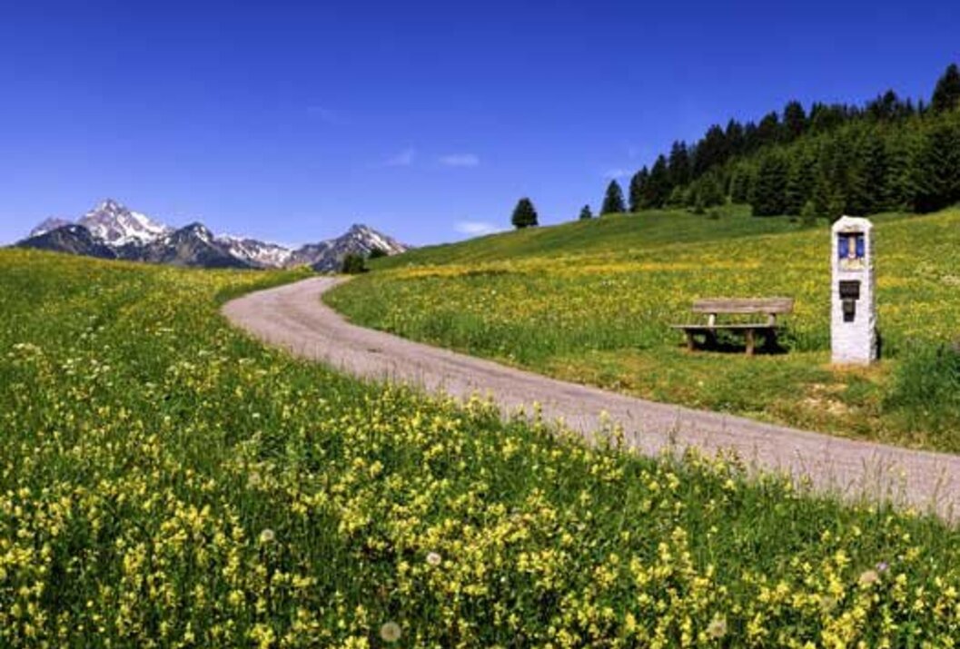 Weg durch grüne Wiese mit gelben Blumen, Bank am Wegesrand, Berge im Hintergrund unter blauem Himmel