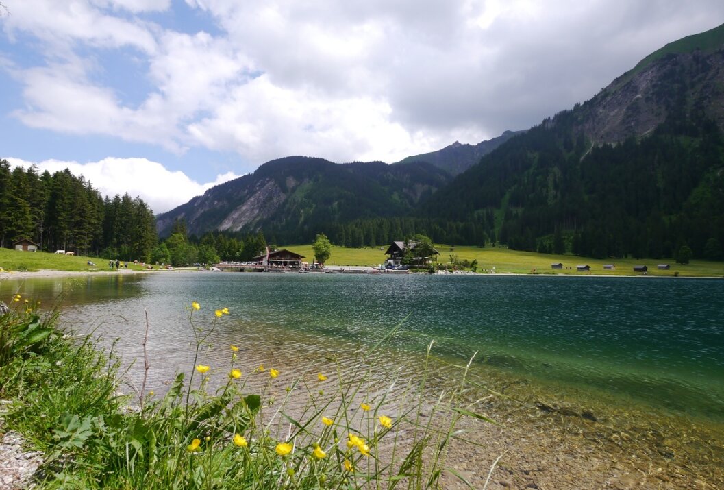 Bergsee mit gelben Blumen im Vordergrund und bewaldeten Bergen im Hintergrund
