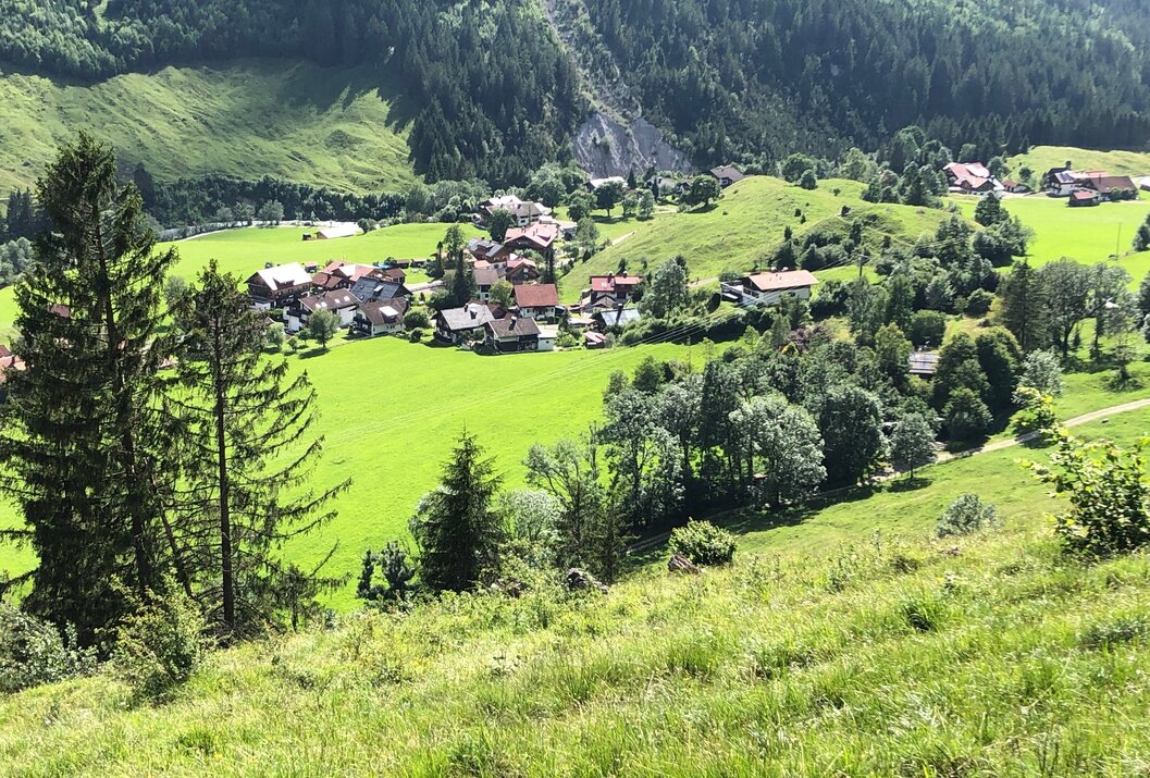 Dorf in grüner Landschaft mit Bergen und Wald im Hintergrund