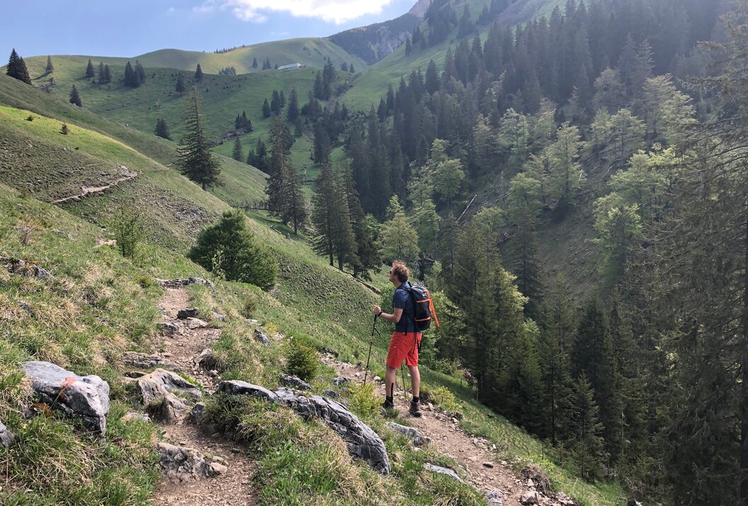 Wanderer mit Rucksack und Stöcken auf Bergpfad, grüne Hänge und Bäume im Hintergrund