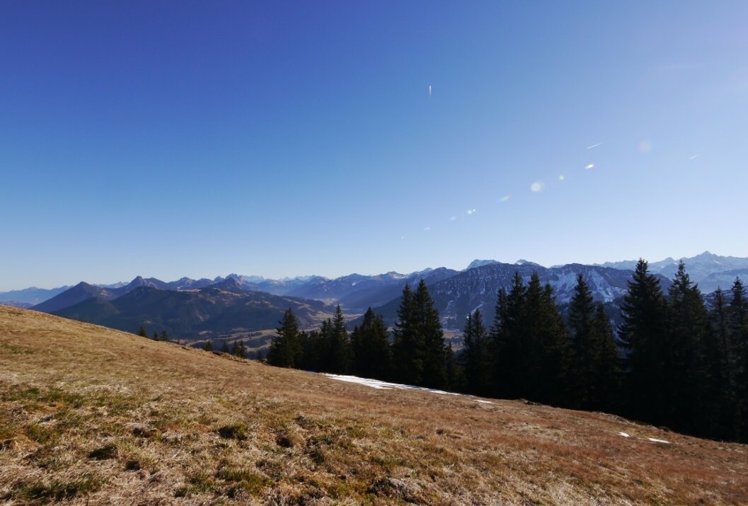 Berglandschaft mit braunem Gras im Vordergrund, Nadelbäumen und schneebedeckten Gipfeln unter blauem Himmel