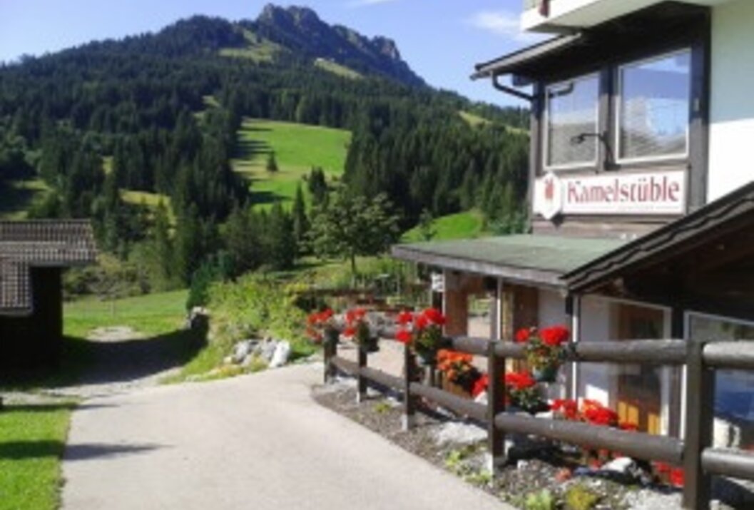 Kamelstüble mit Blumenkästen vor Berglandschaft