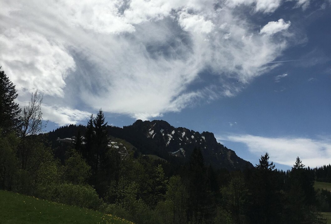 Berglandschaft mit grüner Wiese, Bäumen und Wolkenhimmel