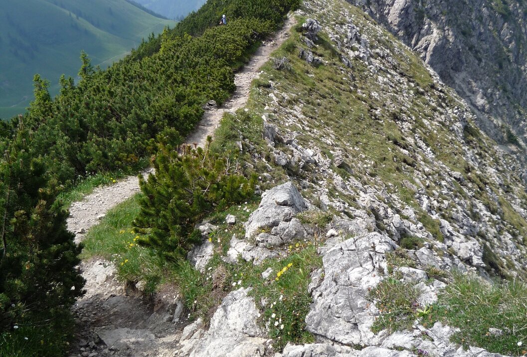Bergpfad auf einem felsigen Bergrücken mit grüner Vegetation