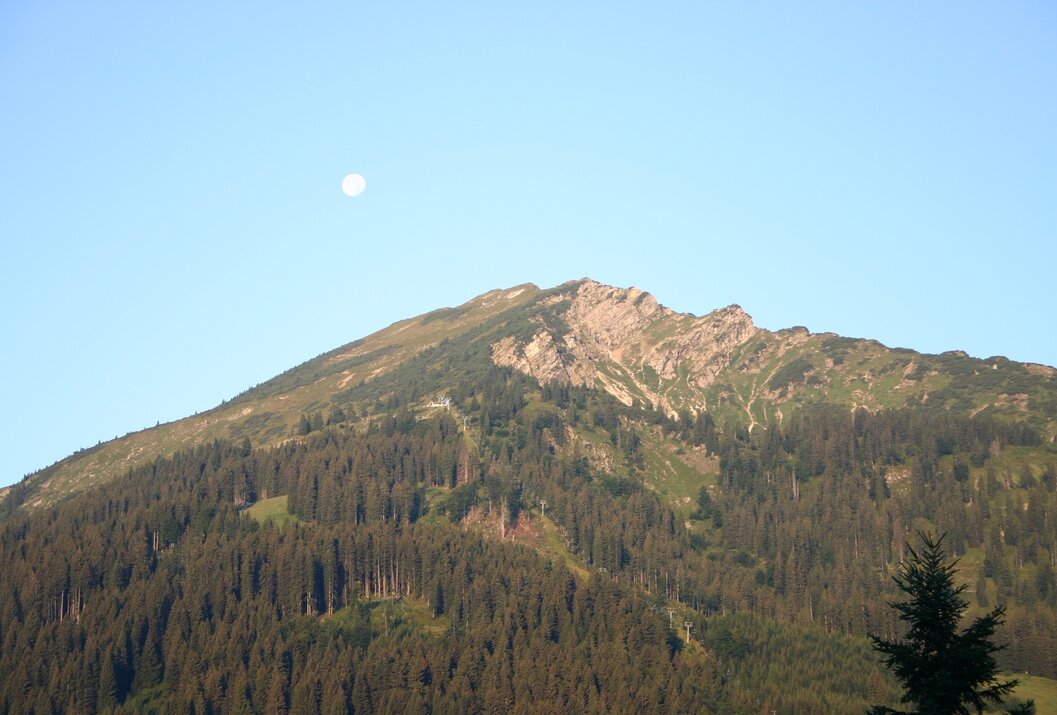 Berg mit Wald und Felsen unter blauem Himmel mit Mond