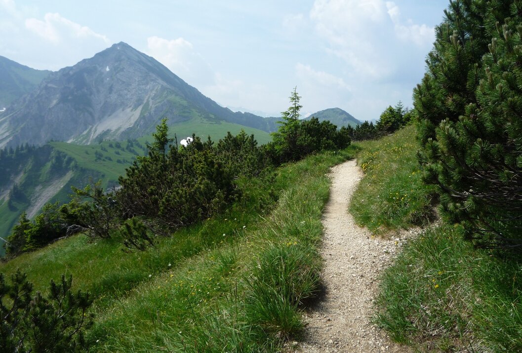 Bergpfad schlängelt sich durch grüne Wiese, im Hintergrund Bergspitze unter blauem Himmel