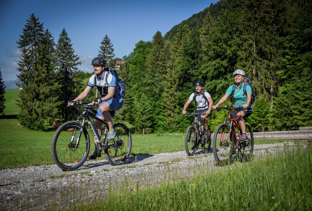 Drei Personen fahren Mountainbike auf einem Schotterweg vor einem Wald