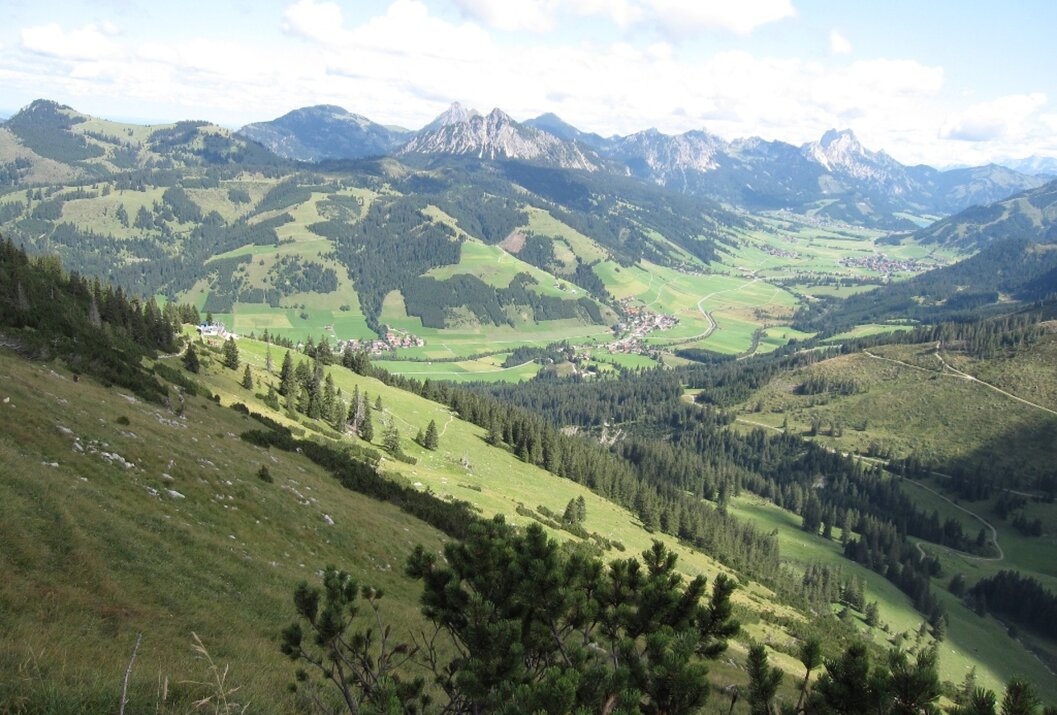 Grüne Hügellandschaft mit Bergen im Hintergrund unter blauem Himmel