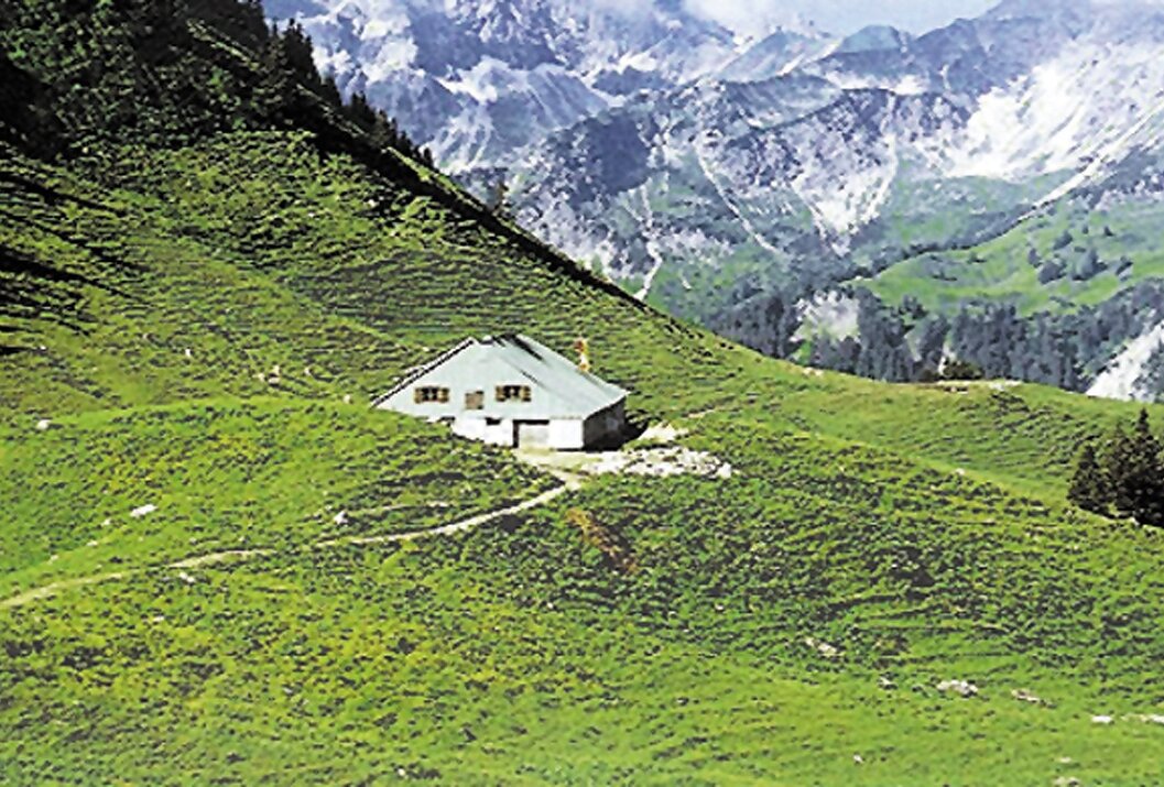 Hütte auf grüner Wiese vor Bergpanorama