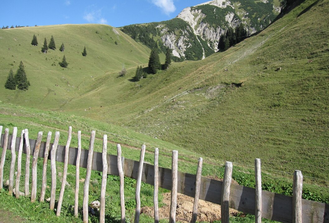 Grüne Hügellandschaft mit Berg im Hintergrund, Holzzaun im Vordergrund