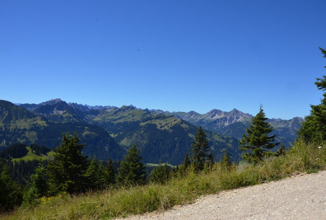 Berglandschaft mit grünen Bäumen unter blauem Himmel