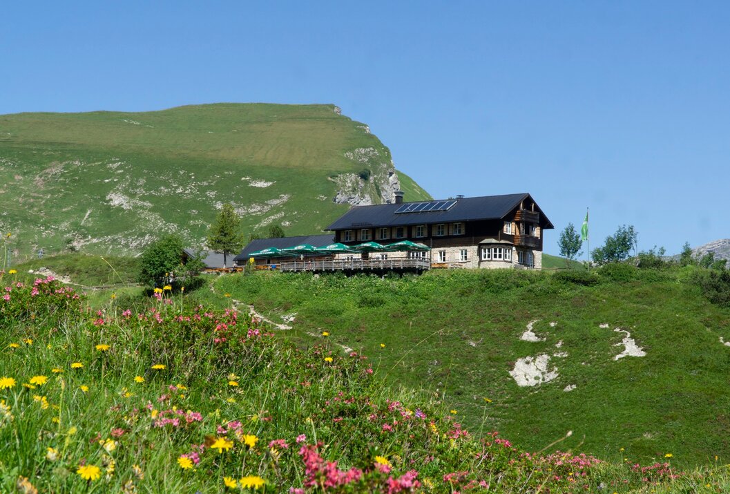 Berghütte auf grüner Wiese mit Blumen, im Hintergrund ein Berg unter blauem Himmel