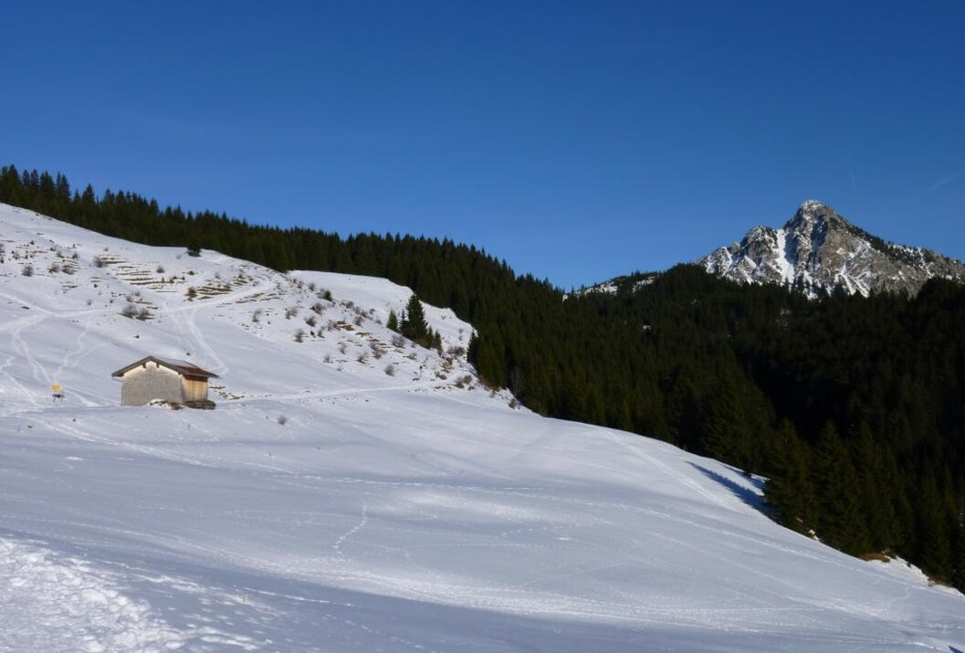 Schneebedeckte Landschaft mit Hütte, Wald und Berg unter blauem Himmel