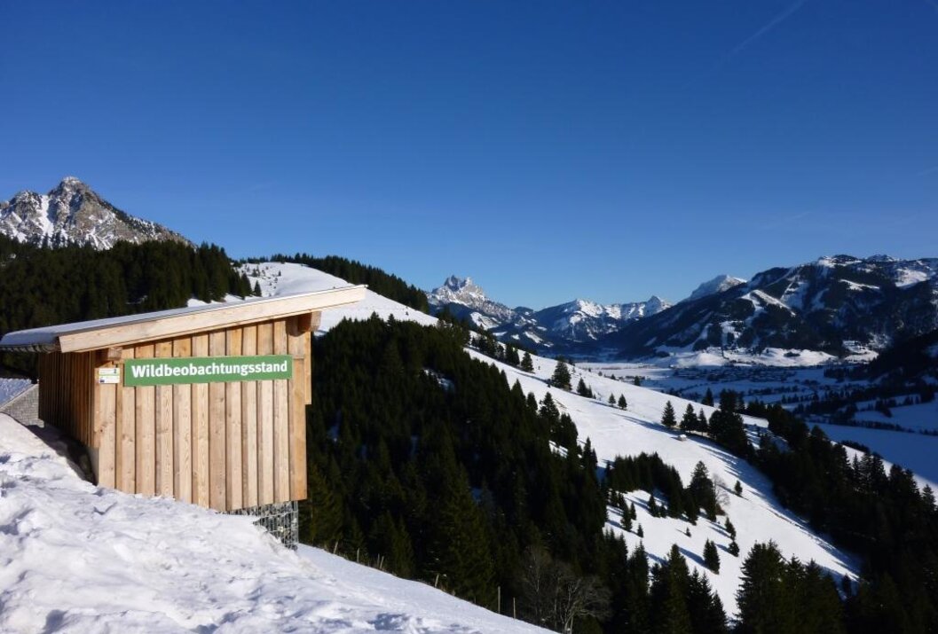Holzhütte "Wildbeobachtungsstand" im Schnee vor Bergpanorama