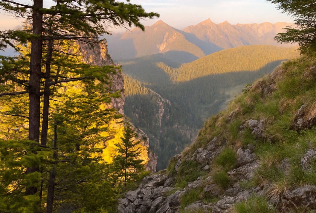 Berglandschaft mit Bäumen im Vordergrund und Bergen im Hintergrund bei Sonnenuntergang