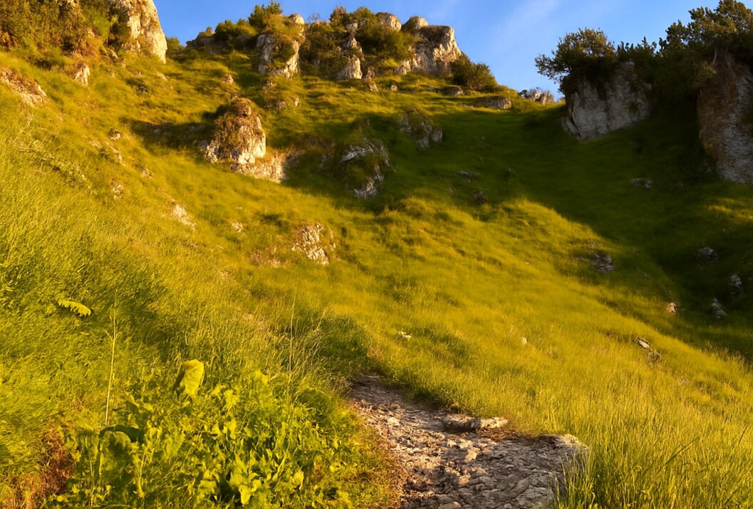 Sonniger Berghang mit Felsen und Gras unter blauem Himmel
