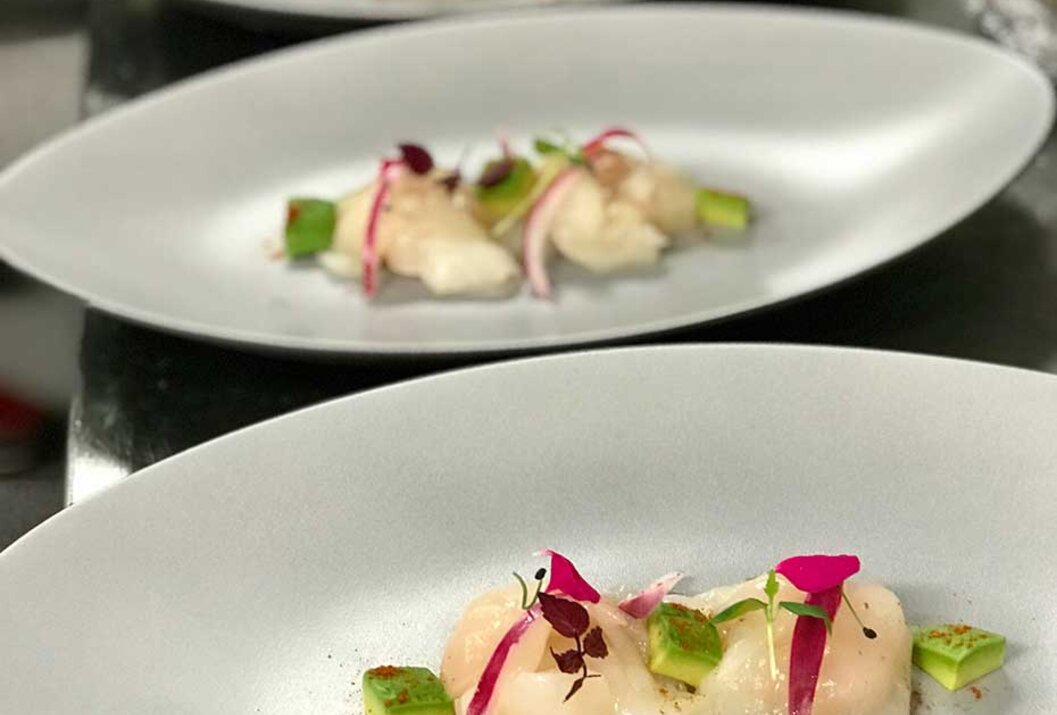 Drei Teller mit angerichteten Speisen, dekoriert mit Avocado und Radieschen